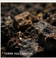 Terra vulcanica